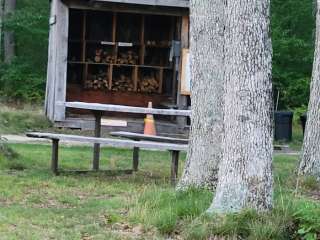 Karner Blue Campground 