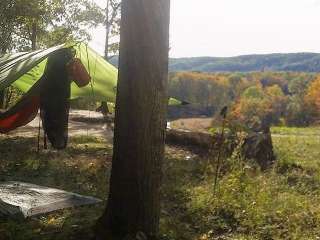 Manistee River Bridge Campground