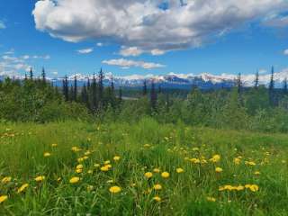 Denali Viewpoint North