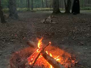 Green Road Dispersed - Manistee NF