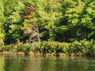 Hankerd's Horseshoe Lake Campground