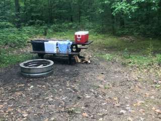 Grass Lake State Forest Campground