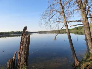 Wakeley Lake Area