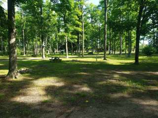 Kaleva Village Park Campground