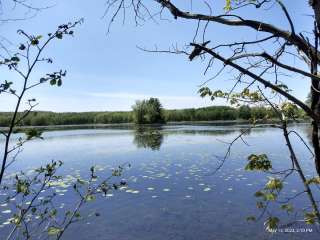 Mecosta County Haymarsh State Game Area