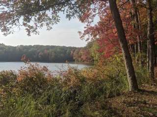 Manistee National Forest Whelan Lake Semi-Primitive Nonmotorized Area