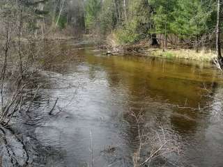 Manistee National Forest Bear Track Campground