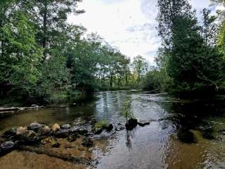 Manistee National Forest Driftwood Valley Campground