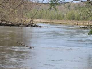 Manistee National Forest Blacksmith Bayou Access Site