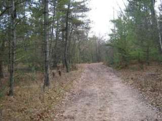 South Branch Trail Camp Group Site