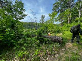 Huron National Forest Reid Lake Semi-Primitive Nonmotorized Area