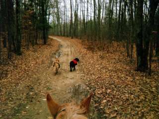 Luzerne Trail Camp