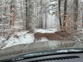 Pine Grove State Forest Campground