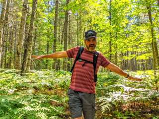 Pigeon Bridge State Forest Campground