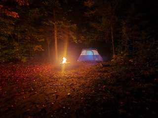 Coalwood Trail - Dispersed Campsite