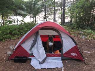 Boundary Waters Canoe Area, North Temperance Lake Backcountry Camping Site #905