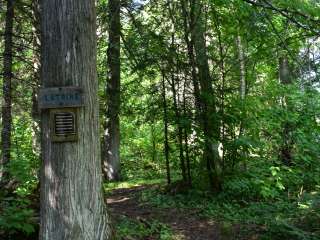 Trout Creek Camp