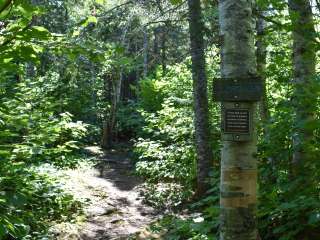 South Bally Creek Pond Camp