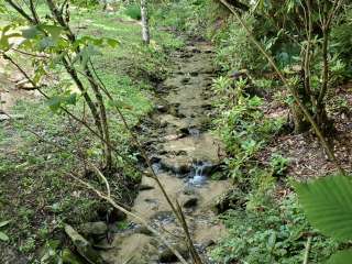 Black Mountain Creek Side