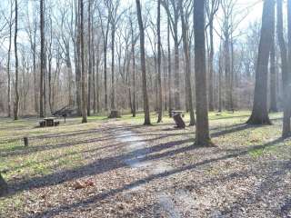 Delta National Forest - Camping