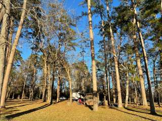 Huntsville State Park