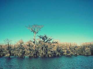 Caddo Lake State Park