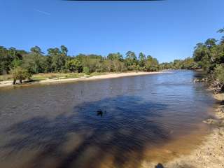 Village Creek State Park