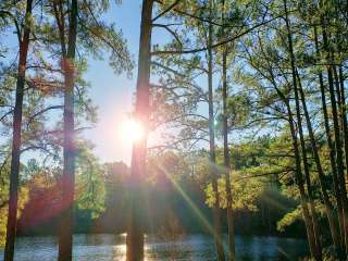 Lake Niederhoffer Campsite