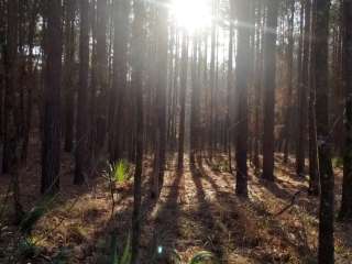 Boykin Springs Recreation Area