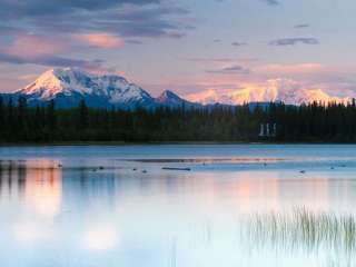 Jack Creek Primitive Campsite — Wrangell-St. Elias National Park