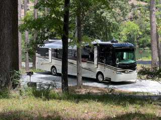 Armadillo Circle — Beavers Bend State Park