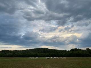 Shawnee Creek Backcountry Camping — Ozark National Scenic Riverway