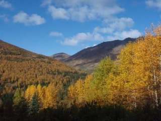 Fox Creek Cabin (AK)