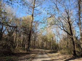 Donaldson Point Conservation Area