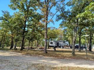 Linn Creek Koa