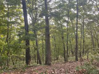 Hercules Glades (Watch Tower)