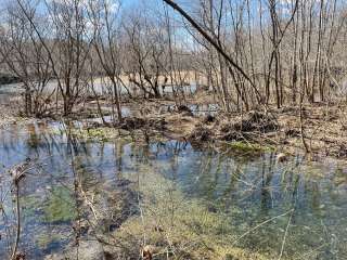 Courtois Creek  Dispersed