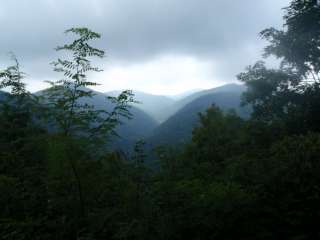 Mount Mitchell State Park