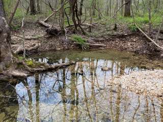 Little Lost Creek Conservation Area