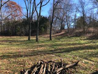 Mark Twain National Forest Glad Top Trail Willie Lee Wolf Junction