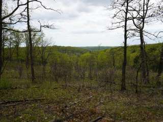 Danville Conservation Area