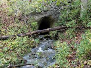 Rock Bridge Memorial State Park - Educational Scout Camps