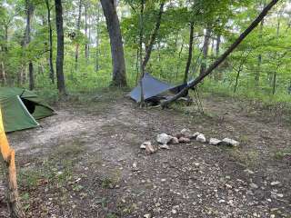 Lone Spring Trail Backpacking Campsite(s)