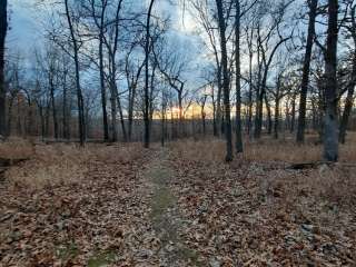 Devil's Backbone — Harry S Truman State Park