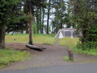 Bridge Bay Campground — Yellowstone National Park