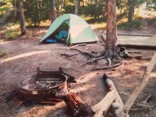 Canyon Campground — Yellowstone National Park