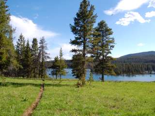 Fern Lake — Yellowstone National Park