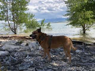 North Fork Campground — Buffalo Bill State Park