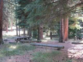 Ochoco Divide Group Site