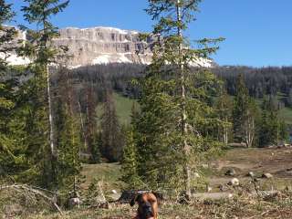 Brooks Lake Campground